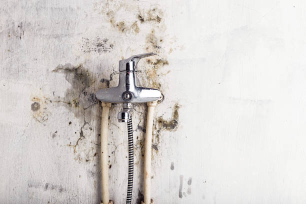 Best Health and Safety Mold Remediation in Holcom, KS