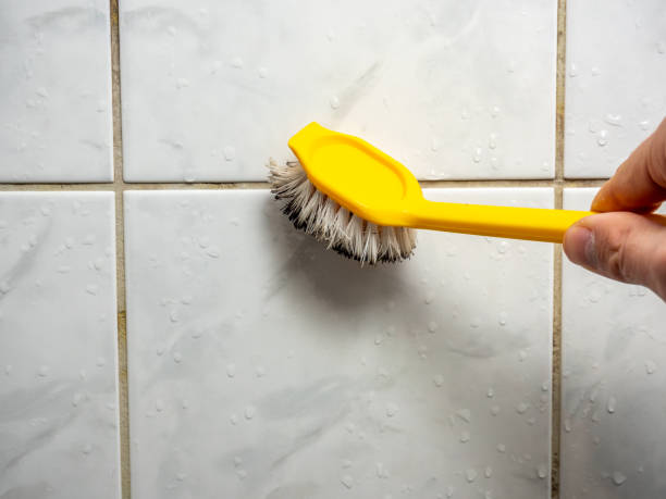 Best DIY Mold Remediation Support Services in Holcom, KS